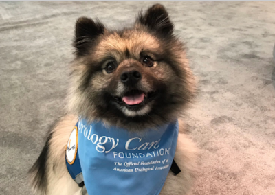 The AUA Annual Meeting in Chicago – Who Let the Dogs In?